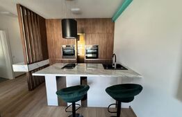 Apartament de vanzare, 49 mp, zona Independentei