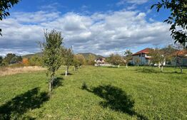 Teren intravilan – 14 ari, la intrare în Tăuții-Măgherăuș  utilitati la drum