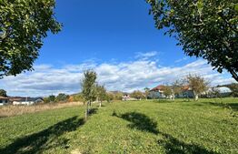 Teren intravilan – 14 ari, la intrare în Tăuții-Măgherăuș  utilitai la drum