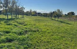 Teren de vânzare Periferie - 181488TV | BLITZ Baia Mare | Poza1