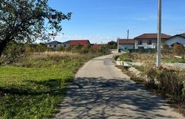 Teren intravilan – 14 ari, la intrare în Tăuții-Măgherăuș  utilitai la drum