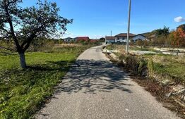 Teren intravilan – 14 ari, la intrare în Tăuții-Măgherăuș  utilitai la drum