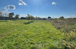 Teren intravilan – 14 ari, la intrare în Tăuții-Măgherăuș  utilitati la drum