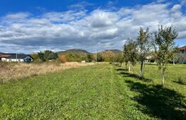 Teren intravilan – 14 ari, la intrare în Tăuții-Măgherăuș  utilitati la drum