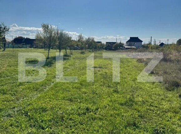 Teren de vânzare Tautii-Magheraus - 179999TV | BLITZ Baia Mare | Poza2