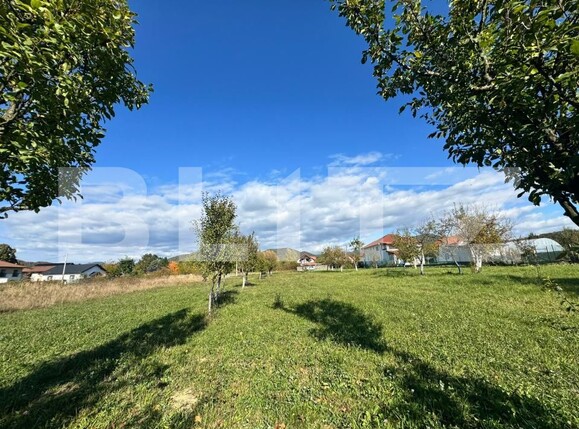 Teren de vânzare Tautii-Magheraus - 179999TV | BLITZ Baia Mare | Poza7