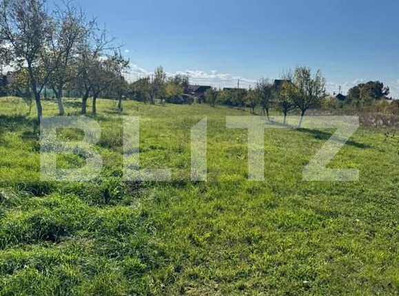 Teren de vânzare Tautii-Magheraus - 179999TV | BLITZ Baia Mare | Poza1