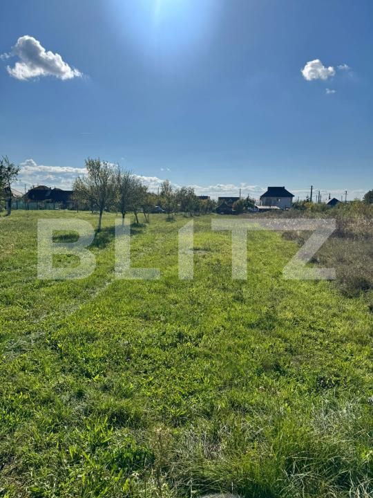 Teren de vânzare Tautii-Magheraus - 179999TV | BLITZ Baia Mare | Poza2