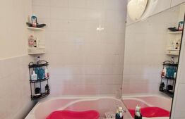 Garsonieră de vânzare, 30 mp, strada Margeanului 