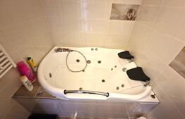 Penthouse 4 camere, 125 mp, zona Progresul 