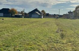 Teren pentru constructie ,20 ari,pozitie excelenta la drumul asfaltat