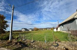 Teren pentru constructie ,20 ari,pozitie excelenta la drumul asfaltat