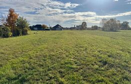 Teren pentru constructie ,20 ari,pozitie excelenta la drumul asfaltat