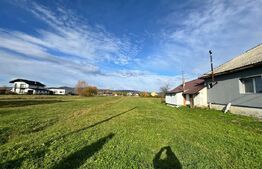 Teren pentru constructie ,20 ari,pozitie excelenta la drumul asfaltat