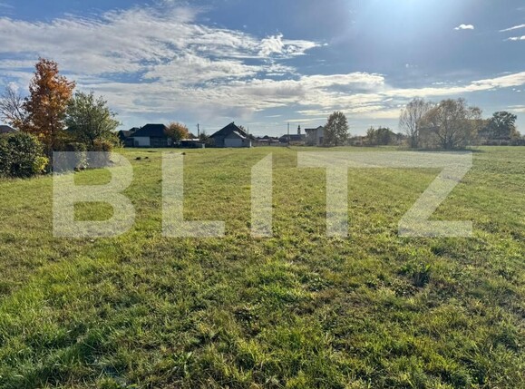 Teren de vânzare Bozanta Mare - 180716TV | BLITZ Baia Mare | Poza8