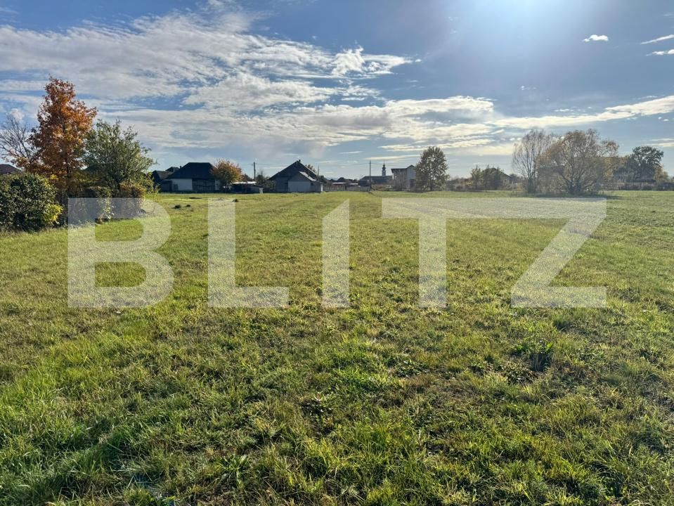 Teren de vânzare Bozanta Mare - 180716TV | BLITZ Baia Mare | Poza8