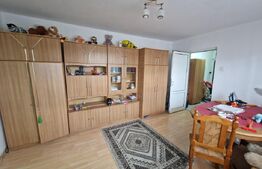 Apartament 2 camere, 48 mp, zona Albina