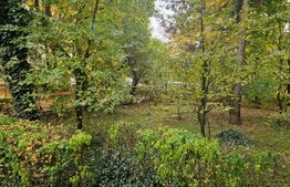 Apartament 2 camere, 48 mp, zona Albina