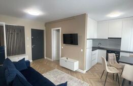 Apartament 2 camere, 44 mp, Strada Daliei