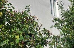 Casa unifamiliala de vanzare zona linistita Sighet