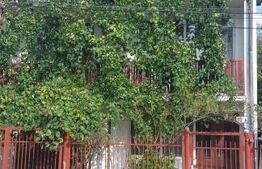 Casa unifamiliala de vanzare zona linistita Sighet
