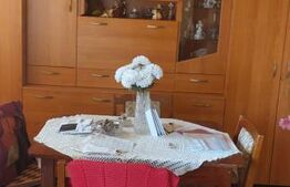 Casa unifamiliala de vanzare zona linistita Sighet