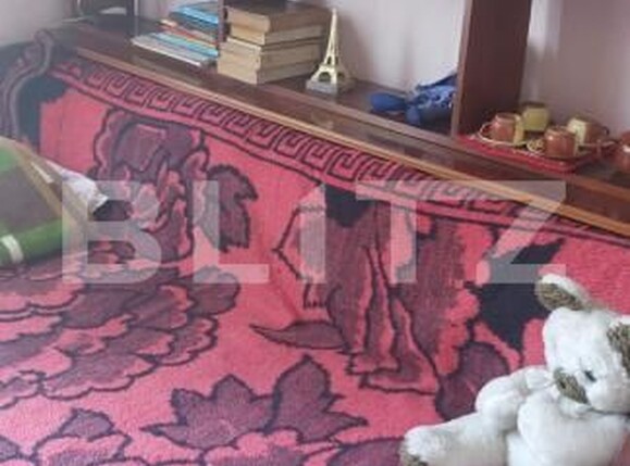 Casa de vânzare 5 camere Sighetu Marmatiei - 180919CV | BLITZ Baia Mare | Poza8