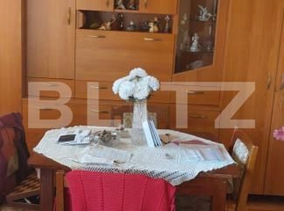 Casa de vânzare 5 camere Sighetu Marmatiei - 180919CV | BLITZ Baia Mare | Poza5