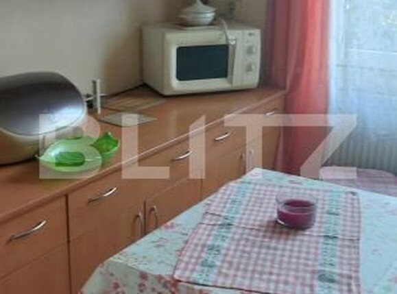 Casa de vânzare 5 camere Sighetu Marmatiei - 180919CV | BLITZ Baia Mare | Poza10