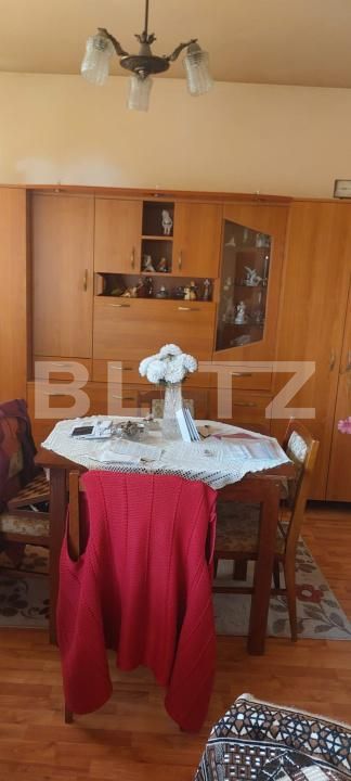 Casa de vânzare 5 camere Sighetu Marmatiei - 180919CV | BLITZ Baia Mare | Poza5