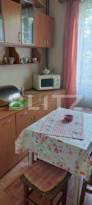 Casa de vânzare 5 camere Sighetu Marmatiei - 180919CV | BLITZ Baia Mare | Poza10