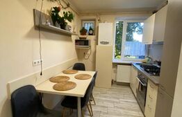 Apartament doua camere, 45 mp, zona Independentei