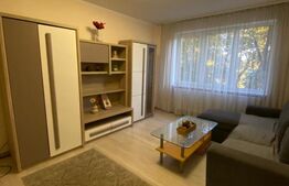 Apartament doua camere, 45 mp, zona Independentei