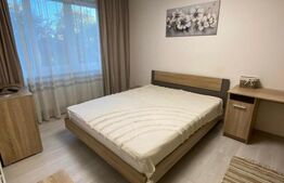 Apartament doua camere, 45 mp, zona Independentei