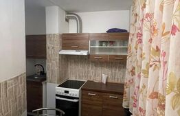 Apartament 1 cameră, 40 mp, zona Central