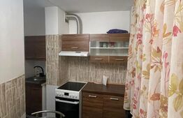 Apartament 1 cameră, 40 mp, zona Central