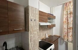 Apartament 1 cameră, 40 mp, zona Central