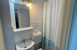 Apartament 1 cameră, 40 mp, zona Central