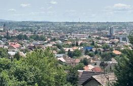 Parcelă de 8,86 ari – zonă Valea Rosie