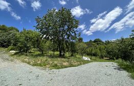 Teren de vânzare Grivitei - 181815TV | BLITZ Baia Mare | Poza1