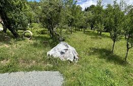 Parcelă de 8,86 ari – zonă Valea Rosie