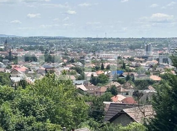 Teren de vânzare Valea Rosie - 181284TV | BLITZ Baia Mare | Poza5