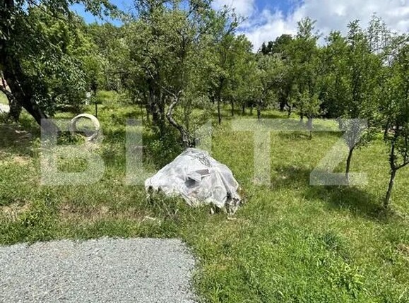 Teren de vânzare Valea Rosie - 181284TV | BLITZ Baia Mare | Poza2