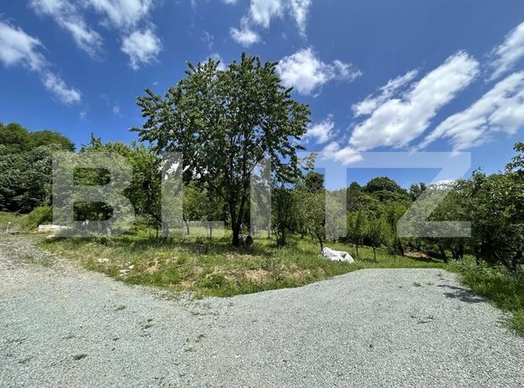 Teren de vânzare Valea Rosie - 181284TV | BLITZ Baia Mare | Poza1