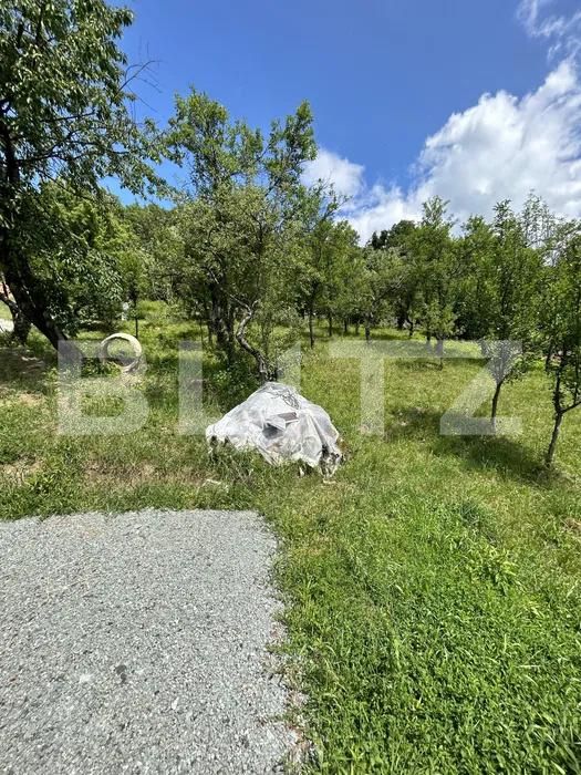 Teren de vânzare Valea Rosie - 181284TV | BLITZ Baia Mare | Poza2