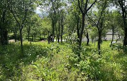 Parcelă de 3.72 ari – zonă Valea Rosie 