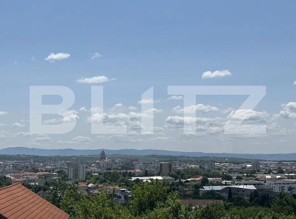 Teren de vânzare Valea Rosie - 181285TV | BLITZ Baia Mare | Poza2
