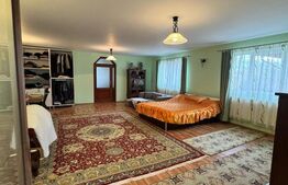 CASĂ DE VIS SAU AFACERE DE SUCCES – BAIA SPRIE