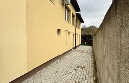 CASĂ DE VIS SAU AFACERE DE SUCCES – BAIA SPRIE