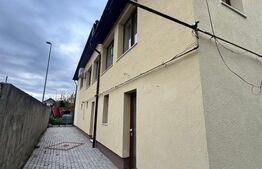 CASĂ DE VIS SAU AFACERE DE SUCCES – BAIA SPRIE